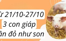 Từ 21/10 đến 27/10, 3 con giáp này sẽ nhận được tài lộc lớn, vận đỏ như son, sự nghiệp thăng hoa