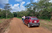 Dự báo giữa năm 2024 là thời điểm phục hồi của thị trường bất động sản