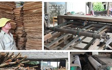 Nhiều cơ sở chế biến gỗ dừng hoạt động