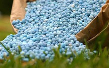 Một mặt hàng Việt Nam nhập khẩu cực nhiều, liên tục tăng giá dù đang trong giai đoạn thấp điểm