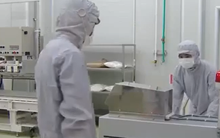 Việt Nam thu hút FDI ngành chế biến, chế tạo