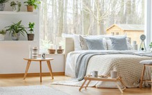 7 loại cây nên đặt trong phòng ngủ, giúp bạn ngủ ngon giấc: Có cây được ví như "máy lọc không khí tự nhiên"