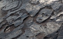 Hạn hán làm phát lộ các tác phẩm chạm khắc cổ trên sông Amazon