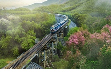 Tàu "5 sao" vừa ra mắt đi qua cung đường đẹp nhất Việt Nam sang trọng thế nào?