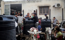 Cách người đàn ông và con lừa giúp người dân Gaza khỏi chết khát giữa vòng vây của quân đội Israel