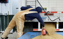 Trung Quốc bất ngờ mua nông sản Mỹ sau nhiều năm