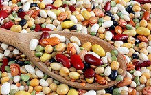 Loại hạt được những người sống thọ nhất thế giới sử dụng để khoẻ mạnh đến năm 100 tuổi: Rất sẵn ở chợ Việt