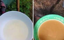 Sự cố đường ống, nước sạch bán cho dân thành nước bẩn