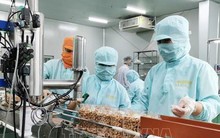 Đề xuất sửa đổi miễn trừ áp dụng biện pháp phòng vệ thương mại