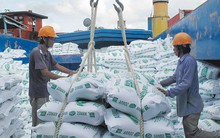 Gạo Việt lập kỷ lục lịch sử sau 34 năm tham gia 'sân chơi' thế giới