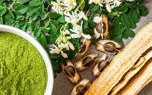 Loại lá giúp hạ đường huyết, giảm mỡ máu hiệu quả: Hàn Quốc từng khen ngợi là "kho báu dinh dưỡng", có sẵn ở Việt Nam