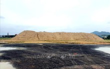 Đưa cát nghiền dần thay thế cát tự nhiên