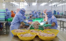 Động lực lớn nhất để tăng trưởng lúc này là đầu tư