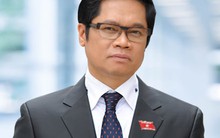 TS. Vũ Tiến Lộc: ‘Doanh nghiệp Việt đang nhỏ đi’