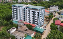 Cắt ngọn và cắt gốc