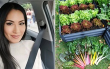 Khu vườn ở Đức khiến chủ nhân từ bỏ niềm vui mua sắm, vài tháng không đi siêu thị vẫn sống tốt