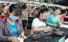 Tuổi nghỉ hưu của người lao động từ năm 2024