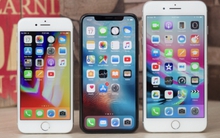 Nhiều iPhone đời cũ bất ngờ nhận tin vui