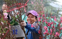 Chính thức trình Thủ tướng phương án nghỉ Tết 7 ngày