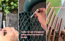 Câu chuyện đằng sau người đàn ông giấu tiền khắp Singapore