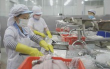 Tiếp tục giảm thuế, phí, tạo nguồn lực cho doanh nghiệp phục hồi