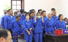 Thu lời bất chính hàng trăm tỉ đồng, 2 "đại gia sinh đôi" lan đột biến lĩnh án 2-3 năm tù