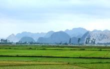 Mua đất nông nghiệp có được chuyển nhượng “sổ đỏ”?