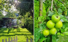 Vợ chồng trẻ cải tạo sân sau thành công viên mini: Trên đời chỉ cần một khu vườn thế này là đủ!