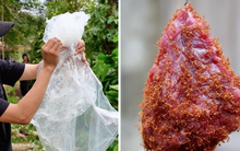 Món đặc sản Tây Nguyên "phải chịu đau mới làm được" khiến nhiều người bất ngờ vì chưa từng nghe tên