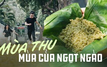 Những trào lưu mùa thu năm nào cũng hot ở Hà Nội, trời mát là dân tình rủ nhau đi "đu trend" ngay