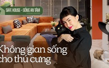 NTK nội thất chỉ ra điều quan trọng cho nhà có thú cưng: Chó cần lưu ý về sofa, mèo cầu kỳ hơn thế