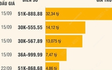 493 biển số đã được đấu giá với tổng số tiền là 214 tỷ đồng
