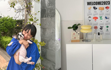 Thuê nhà không có cửa sổ, quá chật chội, nhiều bạn trẻ quyết chi mạnh tay hơn cho nhà cửa và trang trí