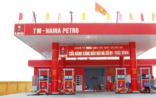 Hải Hà petro doanh thu “tỷ đô” nguồn tiền thu lớn vẫn chây ỳ nợ thuế