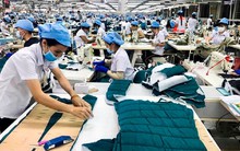 Kiến nghị giảm 4% tỷ lệ đóng của người lao động và người sử dụng lao động vào Quỹ BHXH