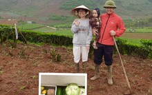 Nàng dâu khoe thùng quà mẹ chồng gửi hàng tháng, những món đồ khiến bao người ngưỡng mộ, ghen tỵ