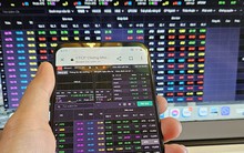 Chứng khoán giảm sốc, nên mua cổ phiếu tích sản hay "bắt đáy"?