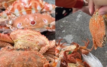 Ăn ghẹ bao năm mới biết có tận 5 loại, người dân vùng biển chỉ con nào ngon nhất