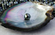 “Viên kim cương” xuất khẩu đắt giá của Việt Nam mang về hơn 33 tỷ USD trong 8 tháng đầu năm: Từ Mỹ, Trung Quốc đến UAE đang chi hàng tỷ USD để nhập khẩu