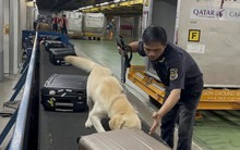 Cục Hải quan TP HCM chỉ đạo "siết" nhập lậu iPhone 15 từ Singapore, Mỹ