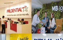 Lộ diện các doanh nghiệp bảo hiểm nhân thọ bị thanh tra