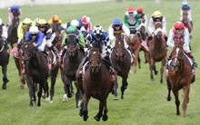 Thị phần môi giới HoSE quý 3/2023: VPS tiếp tục nới rộng khoảng cách, TCBS tăng tốc ngoạn mục