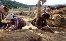 Mặt hàng 'sở trường' của Việt Nam được người Nga cực kỳ ưa chuộng: 8 tháng đã vượt xa 2022, Việt Nam xuất khẩu đứng thứ 3 thế giới