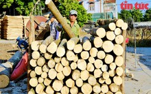 Sẽ ứng dụng công nghệ trong phân loại hồ sơ hoàn thuế