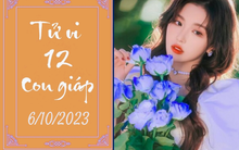 Tử vi vui 12 con giáp hôm nay ngày 6/10/2023: Ngọ thuận lợi, Sửu bận rộn