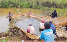 Đi ngang thấy tốp đàn ông cởi trần lội nước, chủ trang trại người Việt ở Angola vội xuống thương lượng