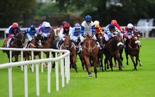 Top 10 cổ phiếu tăng/giảm mạnh nhất tuần: Cổ phiếu bất động sản "đổ đèo", loạt mã có câu chuyện riêng ngược dòng bứt phá