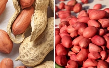 Loại thực phẩm ví là 'hạt trường sinh', được ưa chuộng vì bổ dưỡng lại rẻ