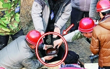 Thợ điện vào mộ cổ trộm con cá khô, chuyên gia vừa nhìn đã hét lên: “Đây mới là bảo vật"