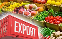 Châu lục này trở thành lời giải hoàn hảo cho nhiệm vụ nuôi 1,4 tỷ dân của Trung Quốc: Có thể nhập khẩu 300 tỷ USD lương thực ngay trong năm tới